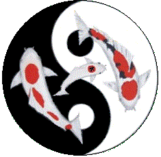 Ying Keno Yang